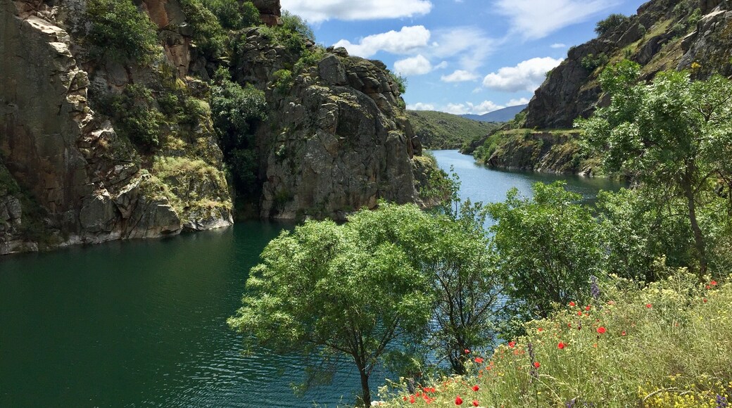 Cola del embalse de El Atazar, en el río Lozoya. Comunidad de Madrid Madrid, España