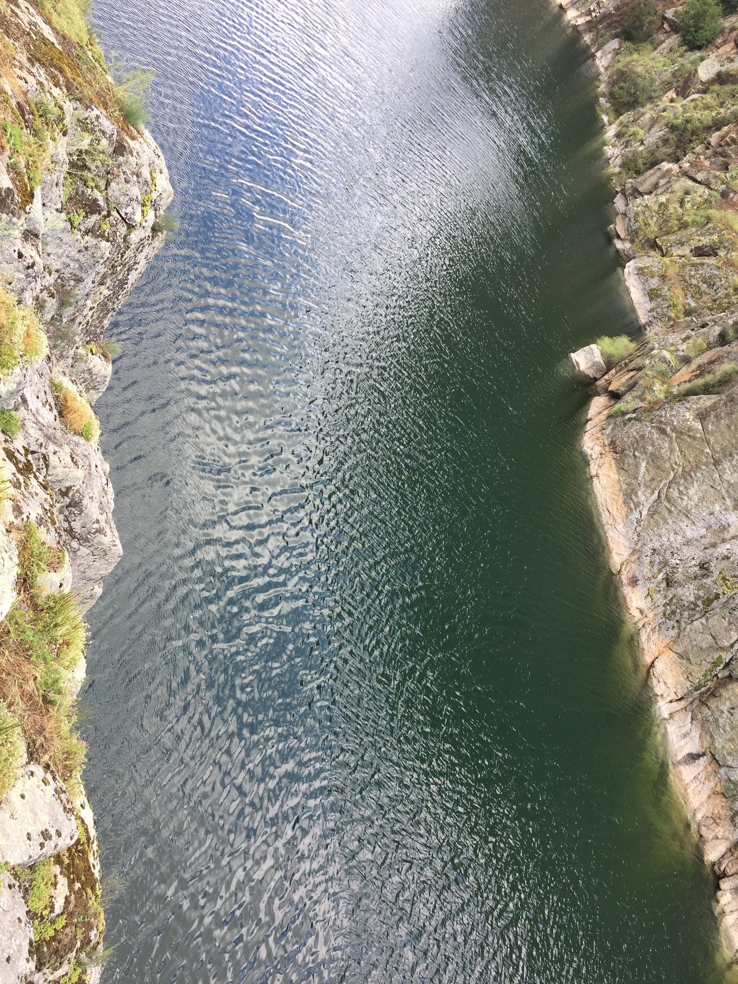 Cola del embalse de El Atazar, en el río Lozoya. Comunidad de Madrid, España
