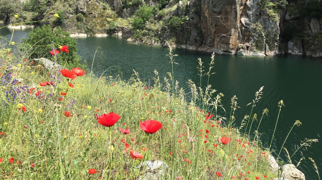 Cola del embalse de El Atazar, en el río Lozoya (Comunidad de Madrid, España).