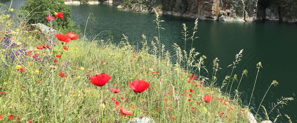 Cola del embalse de El Atazar, en el rĂo Lozoya (Comunidad de Madrid, España).