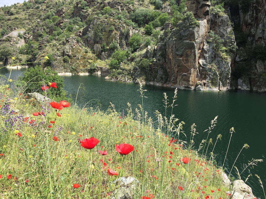Cola del embalse de El Atazar, en el rĂo Lozoya (Comunidad de Madrid, España).