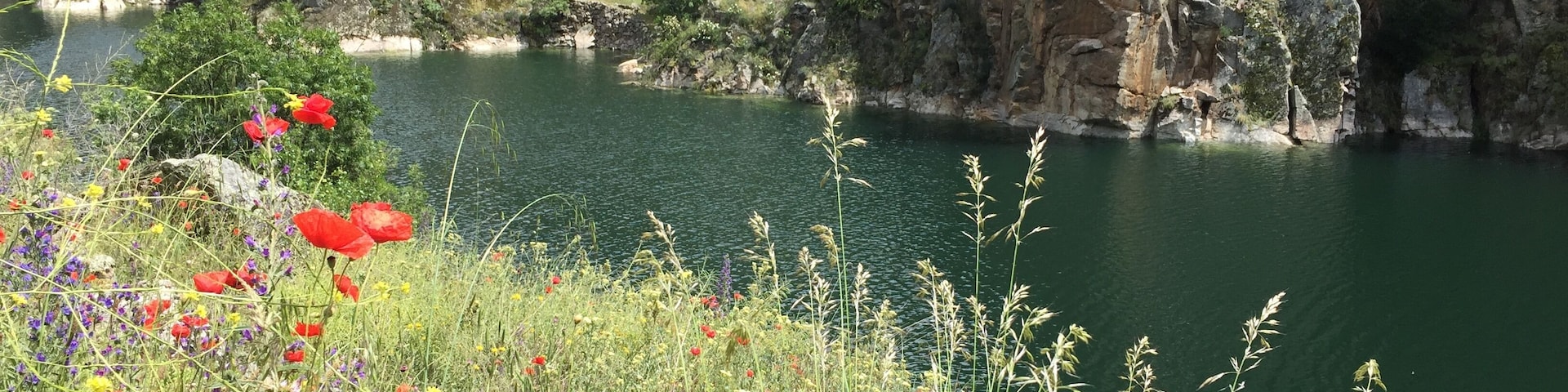 Cola del embalse de El Atazar, en el río Lozoya (Comunidad de Madrid, España).