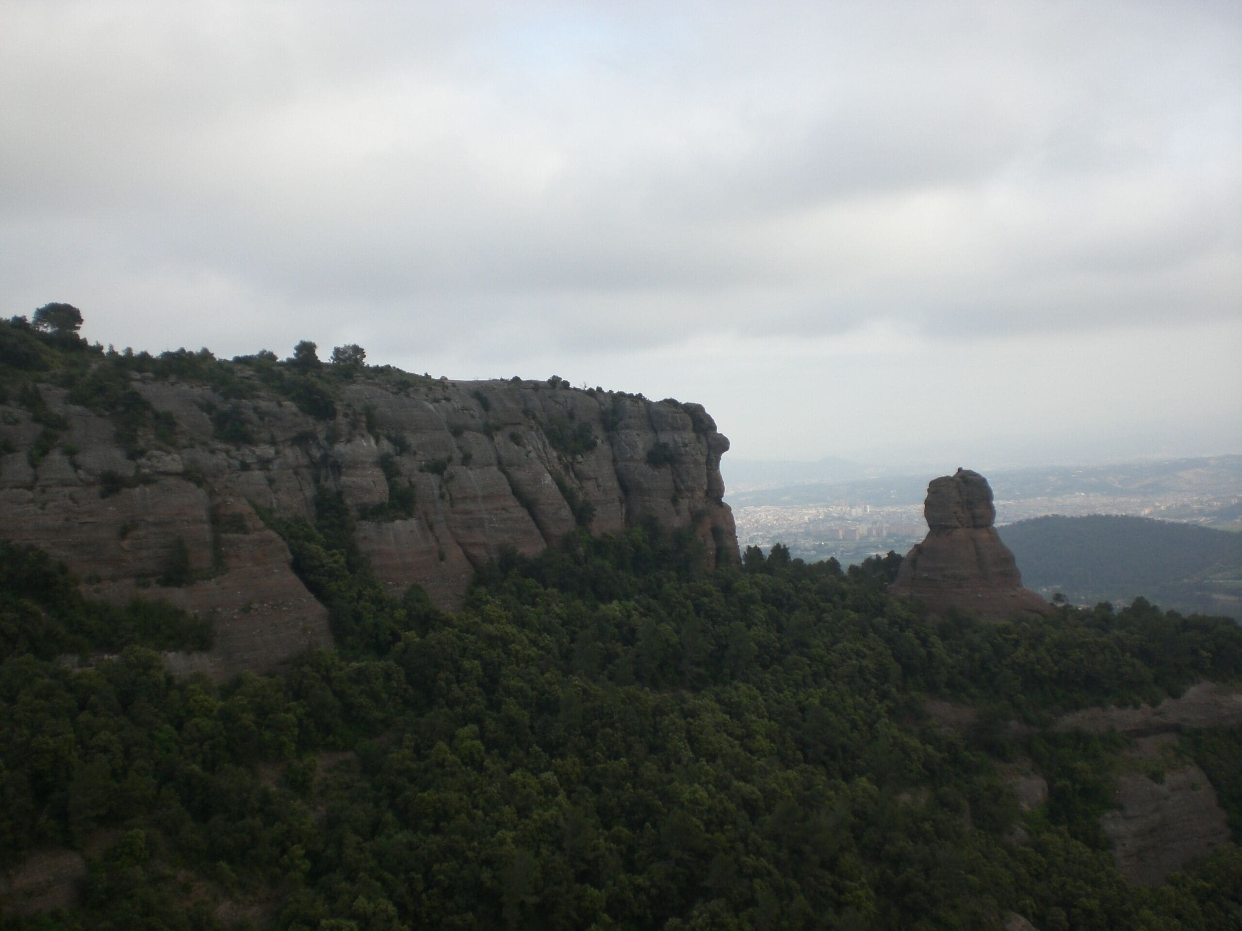 Cavall Bernat des del Cap del Faraó, Parc Natural de Sant Llorenç del Munt i l'Obac (maig 2012)