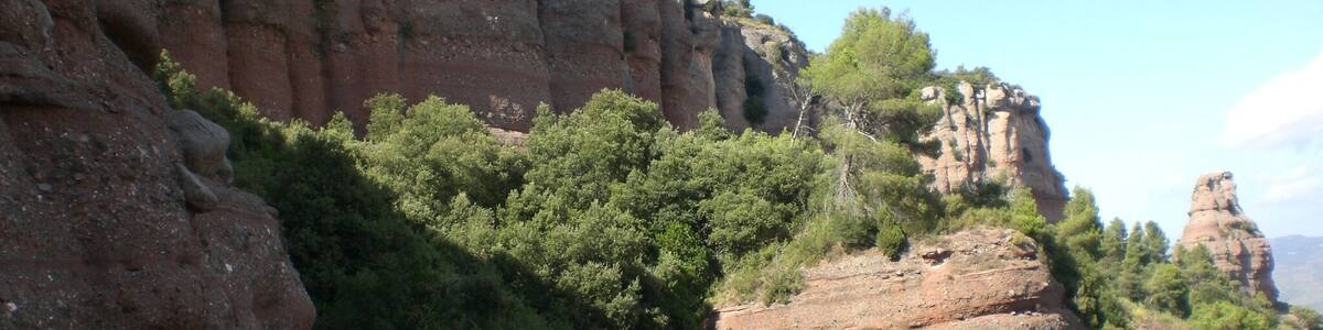 Un canyon aux parois rocheuses abruptes et à la végétation luxuriante.