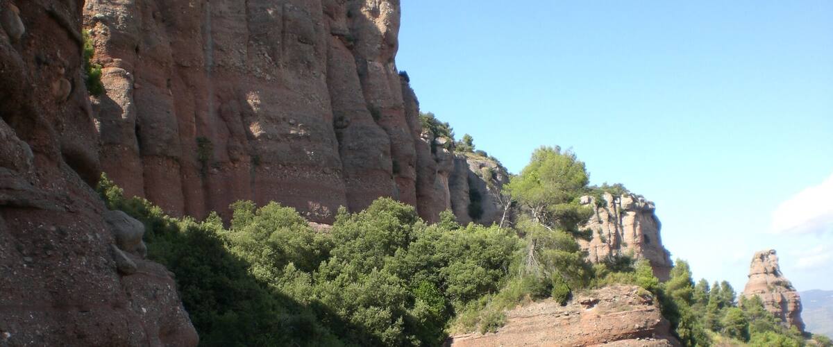 A canyon with rocky cliffs and dense green vegetation.