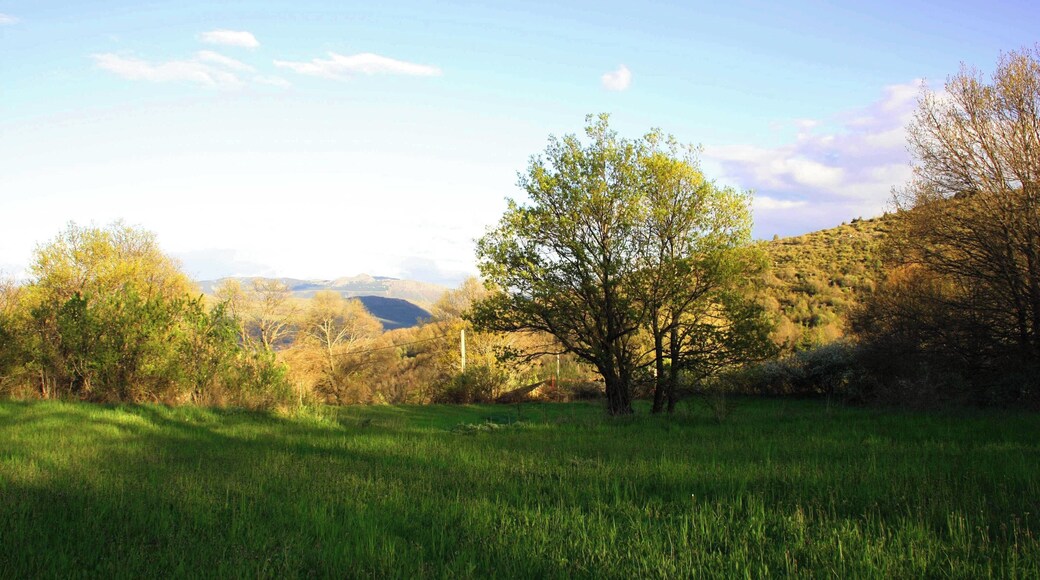 Un Prado de La Acebeda
