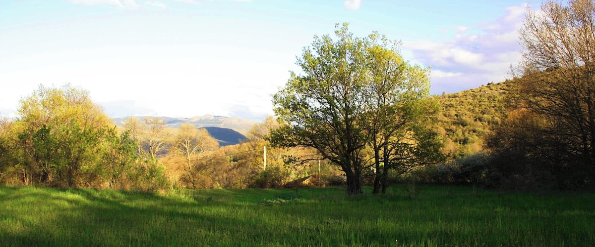 A grassy field with trees and hills in the background.