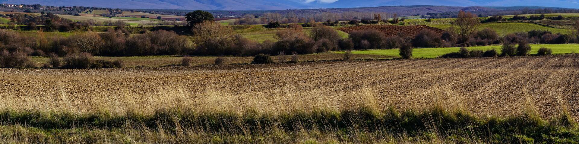 Landscape clouds and thick fog coming down the mountain towards the ground in winter.