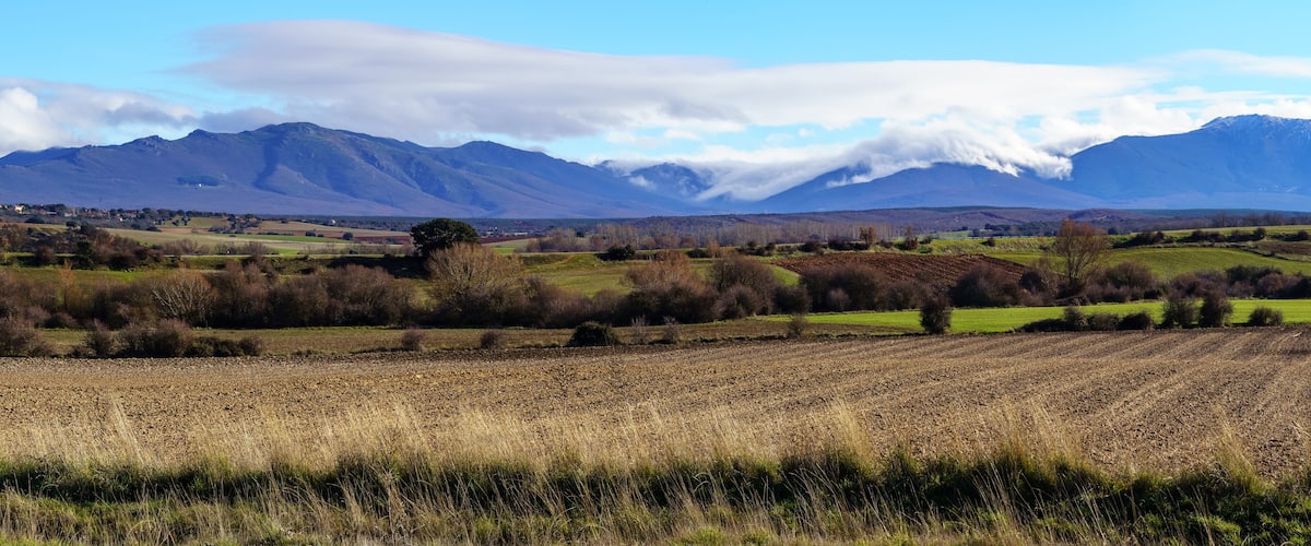 A rural landscape with fields, scattered trees, and mountains in the background.