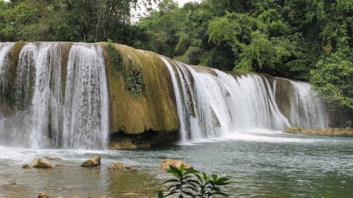 Las Conchas Alta Verapaz Guatemala