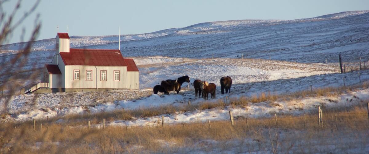 A snow-covered landscape with a white building and a herd of horses.
