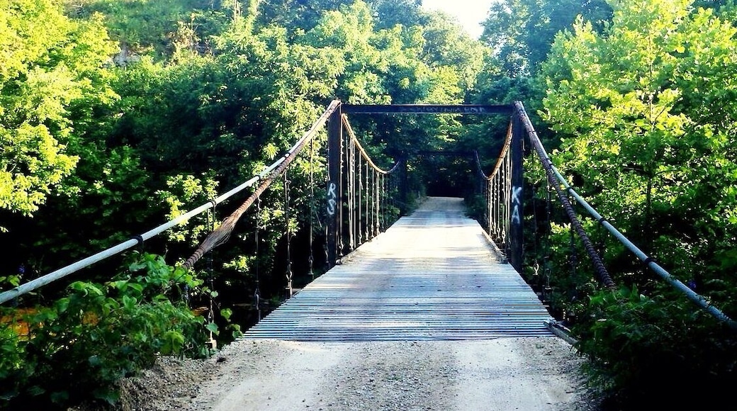 These bridges were first built when existing low water bridges were covered by water. The great advantage of the swinging bridge design was that it could span a very wide river without needing foundation pillars in the middle. This meant that there was no obstruction to river traffic during construction and no danger of the pier being damaged during floods. They were also cheaper to build than pier designs.
The upright piers were constructed first before being pulled into position by mules. The cable was then dragged across by hand using a wheel or pulley. The Swinging Bridges were built during The Great Depression and took only 3 months to complete. Of all the many swinging bridges built in the area during that era, the two Swinging Bridges crossing the Grand Glaize Creek at Brumley, are the only swinging bridges left standing. Although the smaller bridge has undergone some reconstruction, they are both still usable by the public.
The Swinging Bridges span a small river in an area of stunning natural beauty and many visitors enjoy fishing and camping during the summer months. The water temperatures are usually warm as the river is very shallow, so it is ideal for day trips of picnicking on the shore followed by a gentle swim.