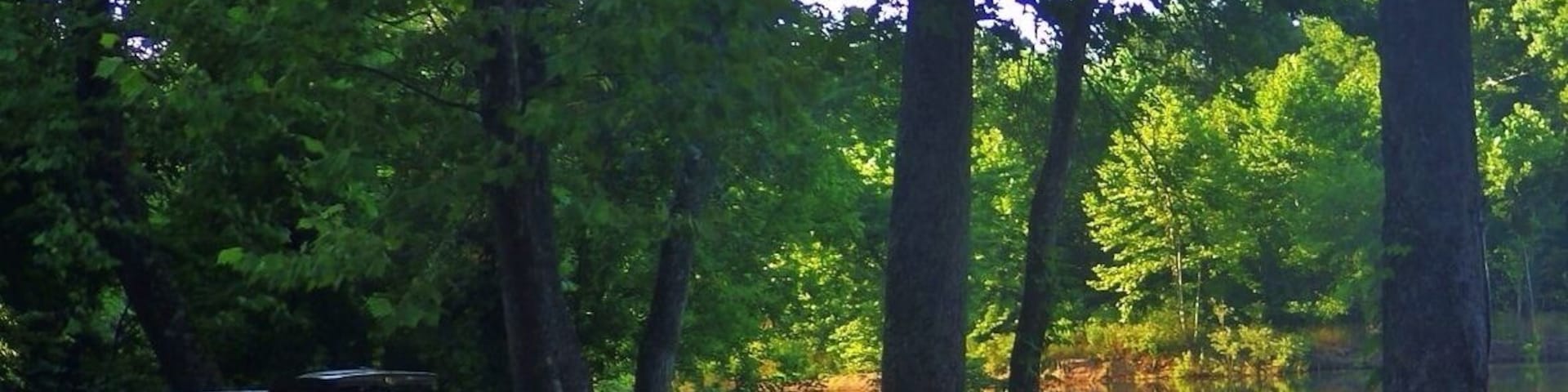 A very nice little campground. It runs on a honor system at the entrance you pay $7 fee. #camp