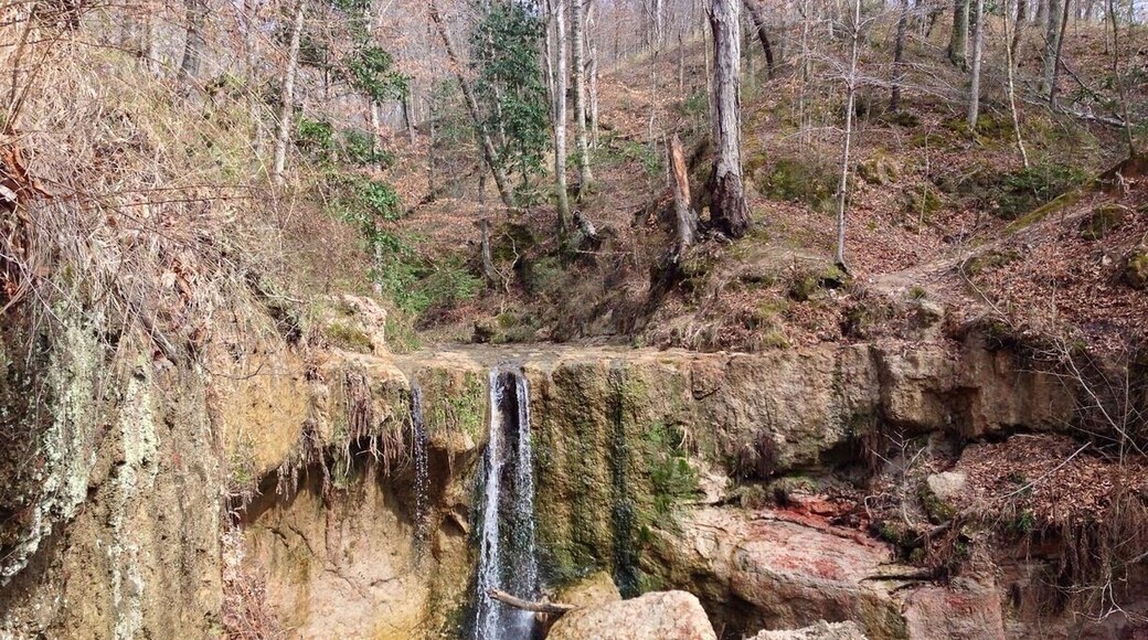Waterfalls in Louisiana/Mississippi?
Visit our blog to learn more about this adventure!!
http://frugalfamilytravelers.blogspot.com/2014/05/waterfalls-in-louisiana.html?m=1
Follow us on Facebook: https://www.facebook.com/frugalfamilytravelers?ref=hl