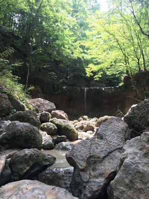 There's very few places to hike and explore in Louisiana. But this is about as good as it gets. Great little hike, follow the stream instead of the trail.