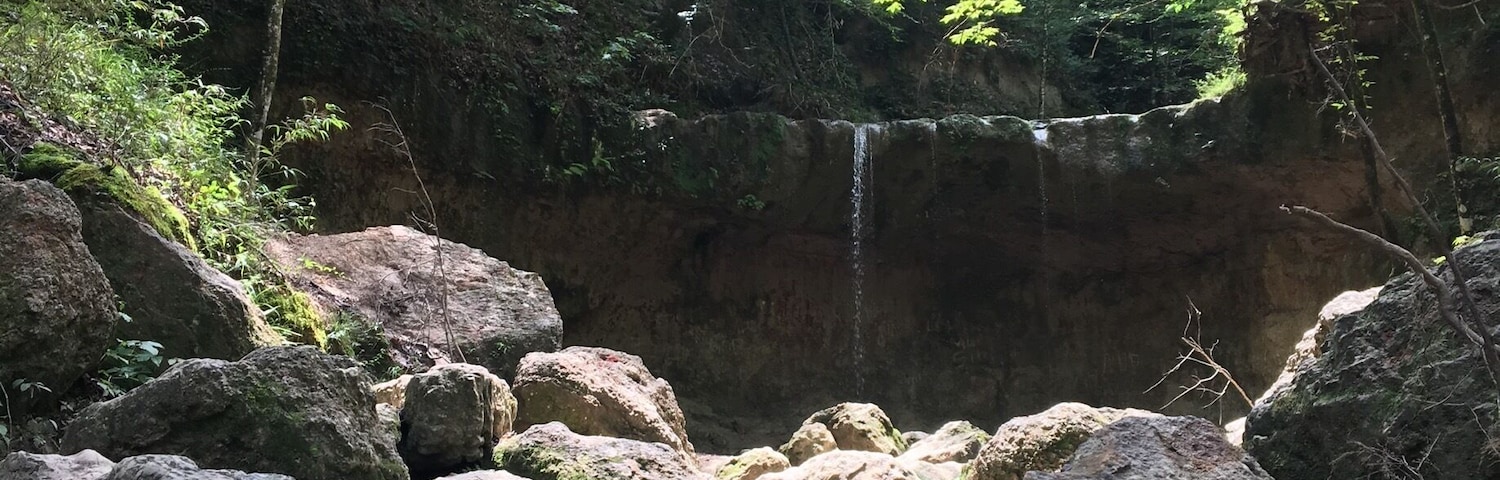 There's very few places to hike and explore in Louisiana. But this is about as good as it gets. Great little hike, follow the stream instead of the trail.