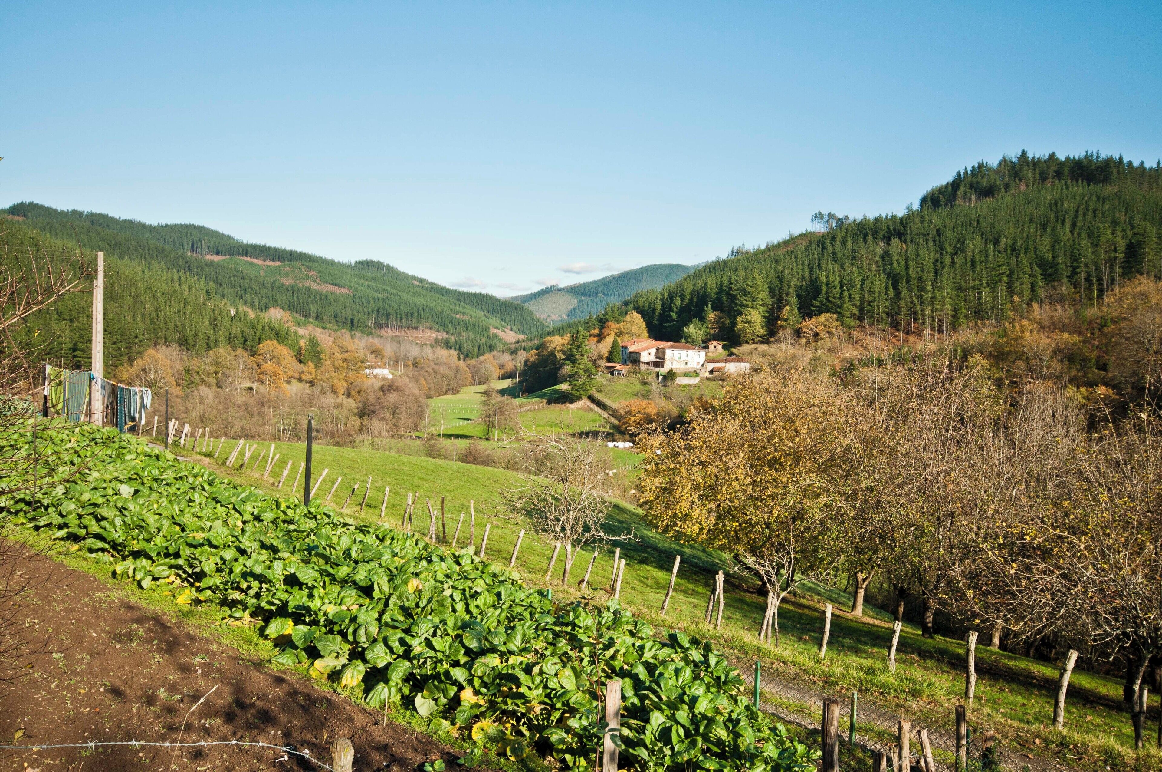 Valle Andra Marizuri