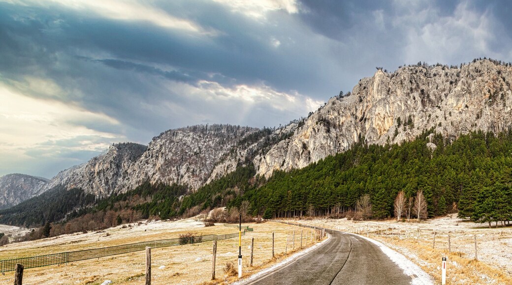 Hohe Wand, Rock Cliffs and Dorado for Climbers south of Vienna, Austria