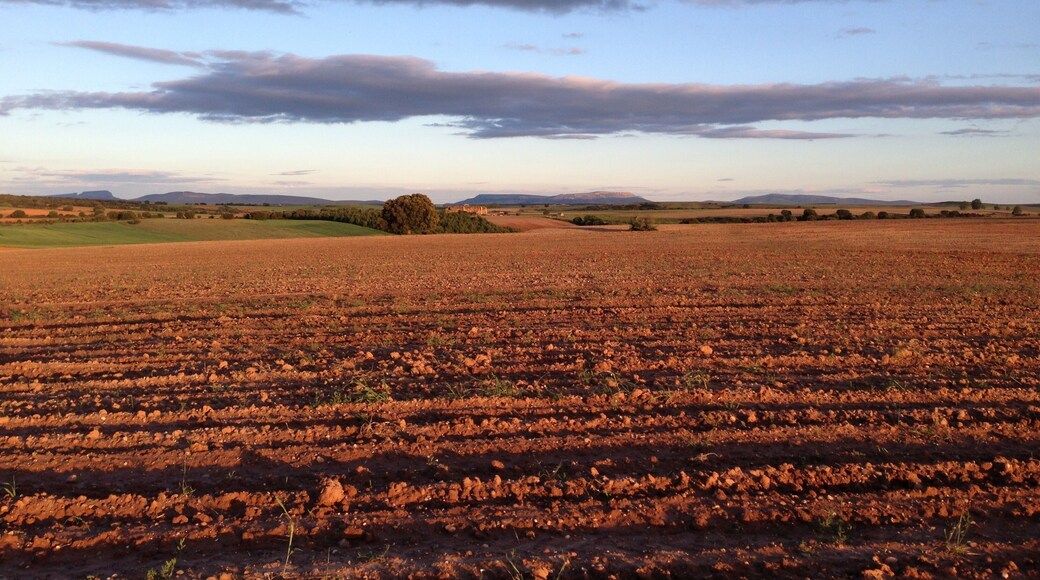 Paseo Fuente la Ribera