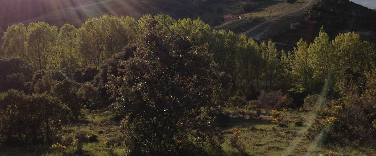 A hilly landscape with dense vegetation and a dirt path leading up the hill.