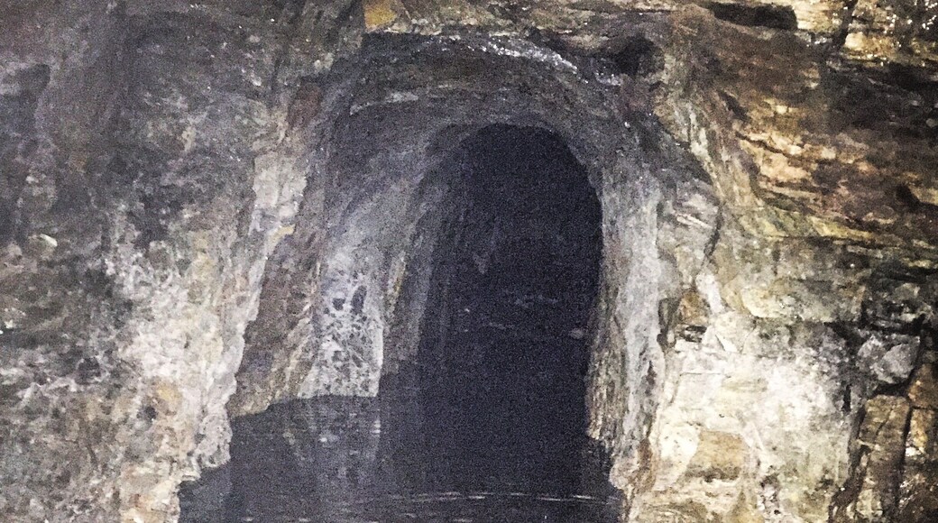 Abandoned mine adit, but with about a foot of water to hamper any exploring