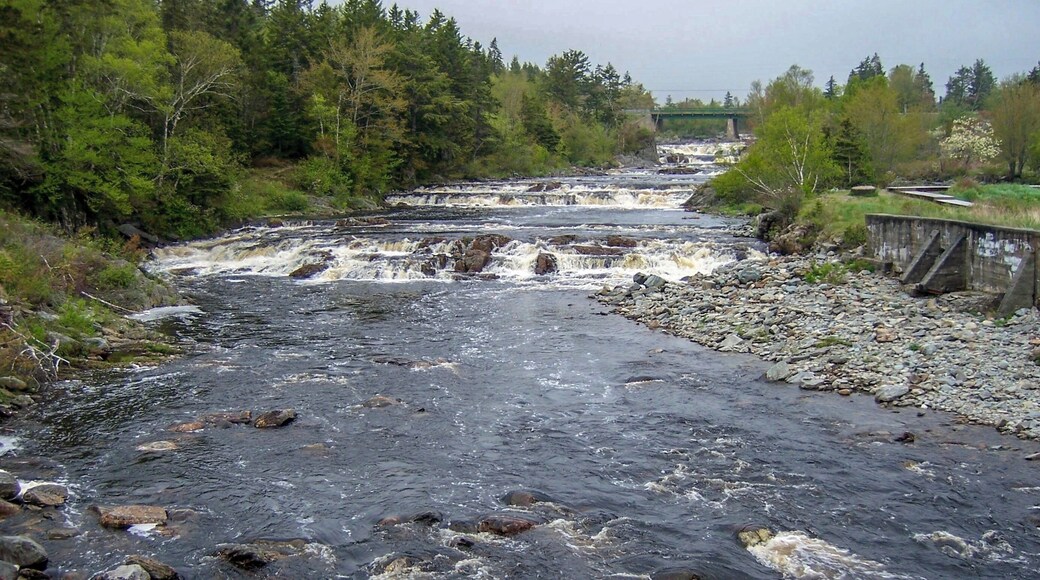 Waterfall near Sheet Harbour, NS (June 2007)
#Nature