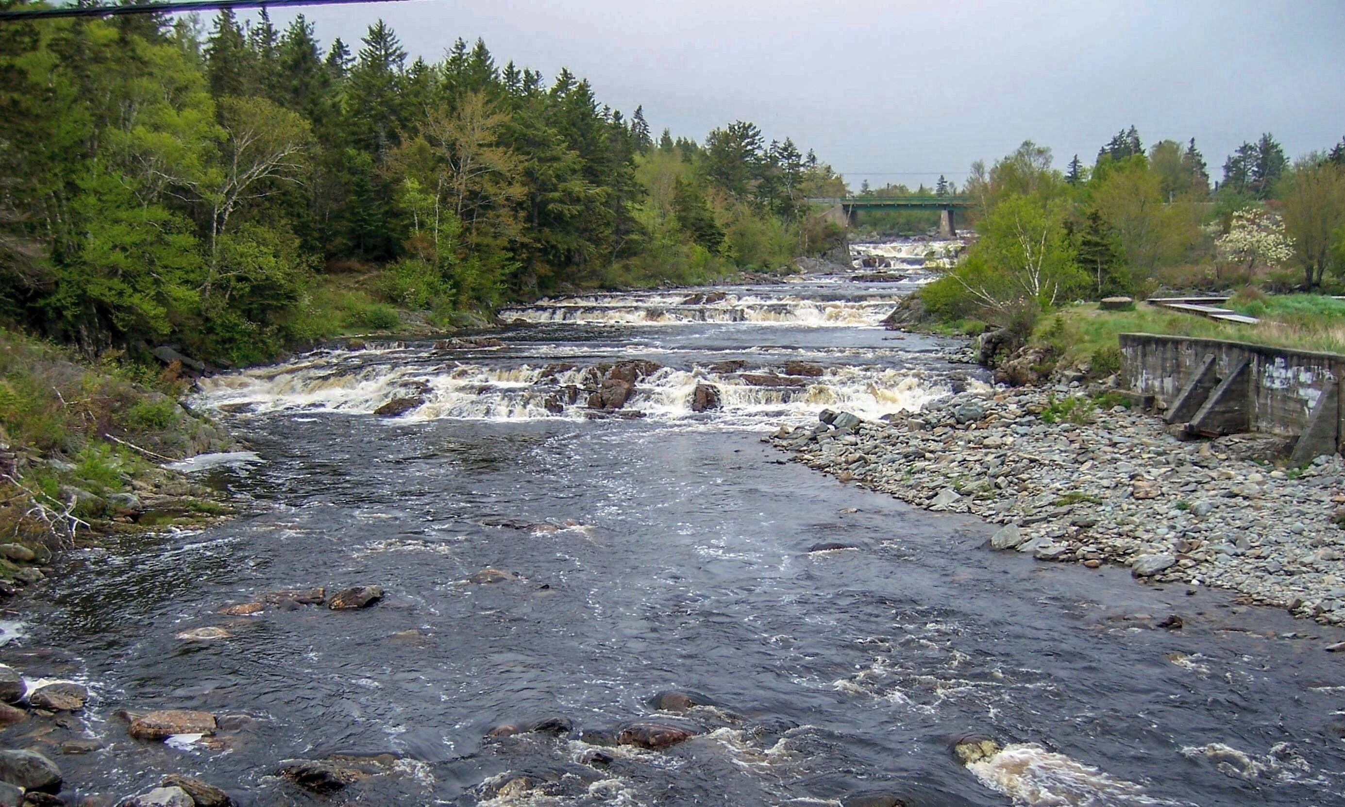 A river with a rocky bed, a bridge in the background, and dense forest on both sides.