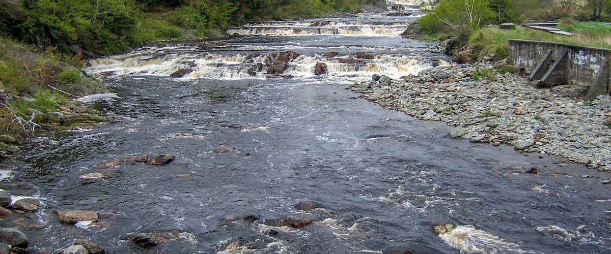 A river with a rocky bed, a bridge in the background, and dense forest on both sides.