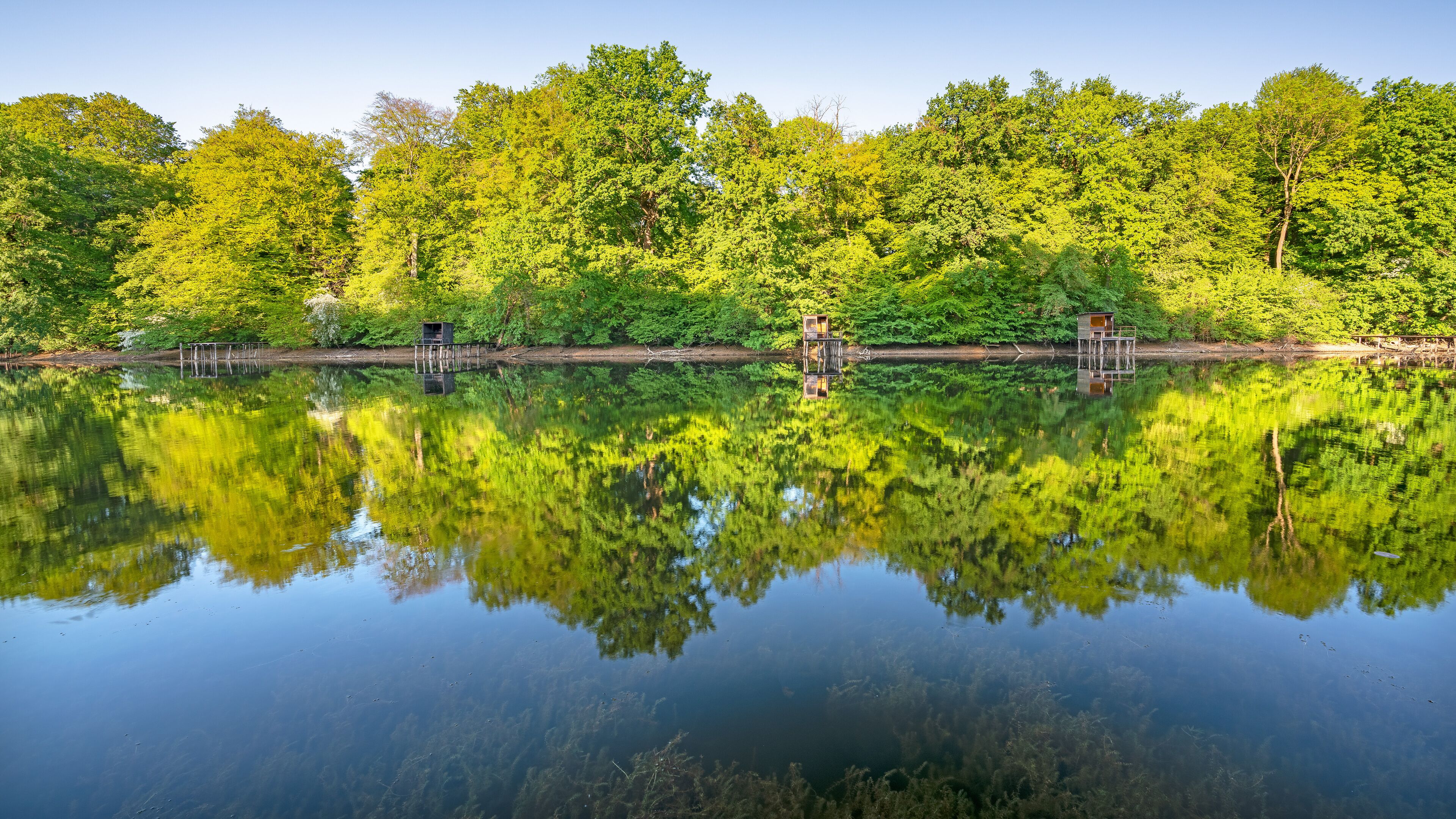 A calm lake with reflections of green trees and three wooden platforms.