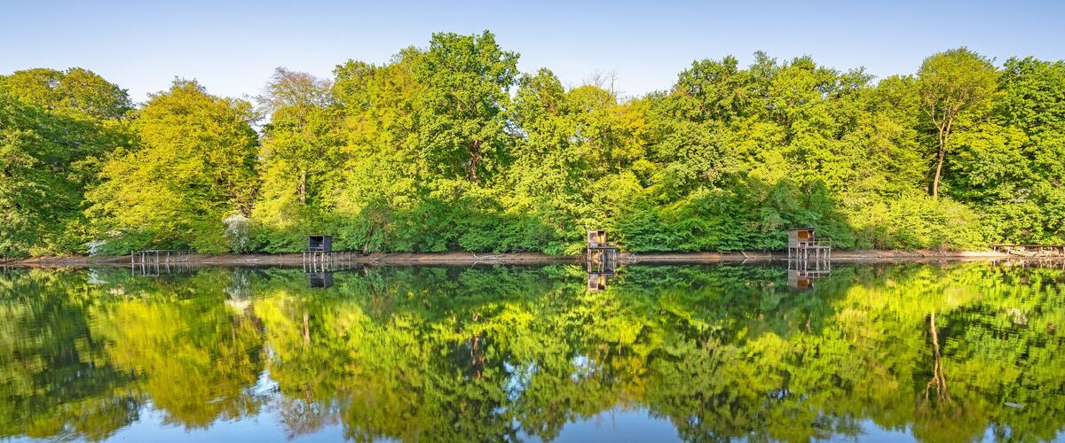 A calm lake with reflections of green trees and three wooden platforms.