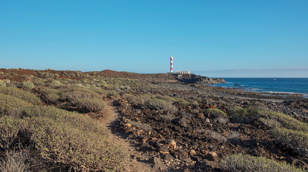 Arid landscape of Malpais de la Rasca, a natural reserve close to Palm-Mar town, with views towards the lighthouse or Faro Punta de Rasca, and the endemic vegetation, Tenerife, Canary Islands, Spain