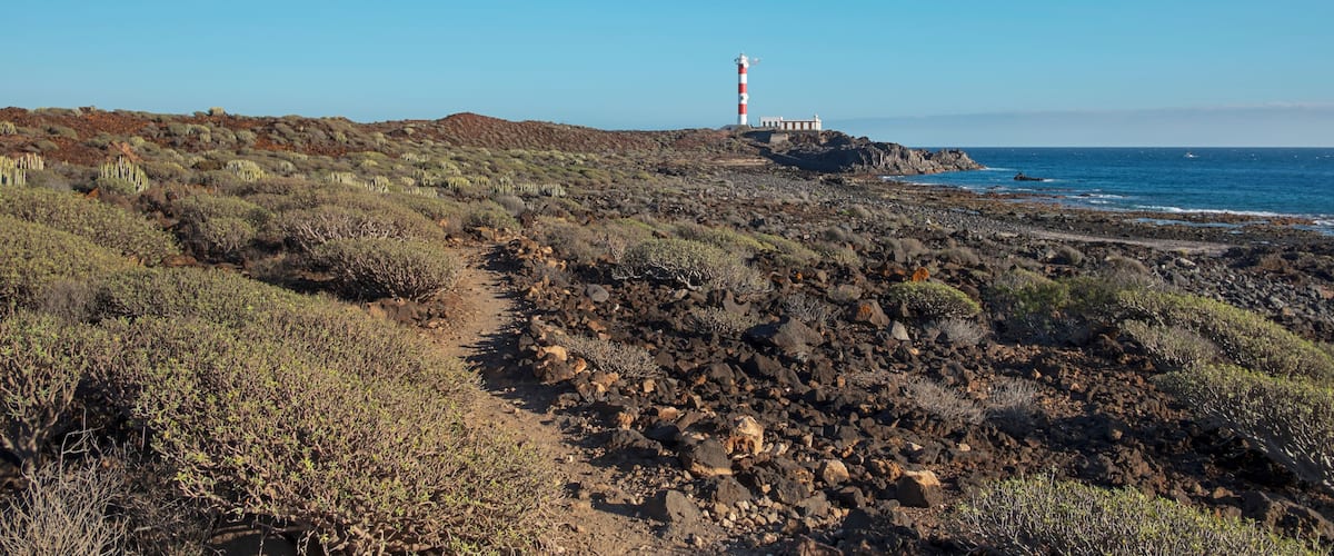 A coastal landscape with a lighthouse on a rocky outcrop, sparse vegetation, and a clear blue sky.