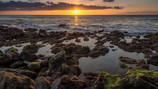 Nice rocky beach, great opportunity for sunset photography
#BeachTips #BvS