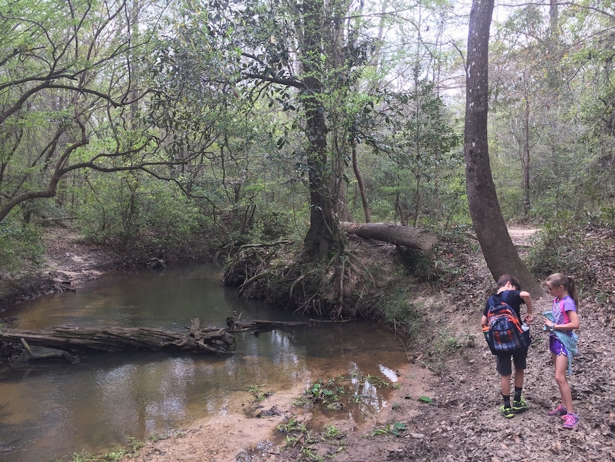 Tuxachanie Trail in Desoto National Forest
To discovery more about this location, including directions and planning ideas visit:
http://frugalfamilytravelers.blogspot.com/2017/03/desoto-national-forest-tuxachanie-trail.html