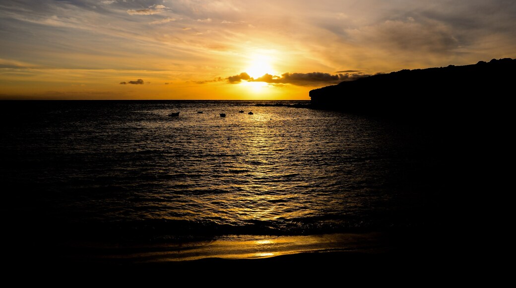 Landscape in Tropical Volcanic Canary Islands Spain
