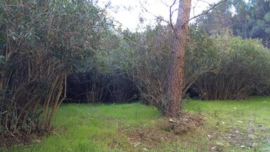 This is a photography of a Site of Community Importance in Spain with the ID: