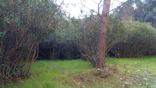 This is a photography of a Site of Community Importance in Spain with the ID: