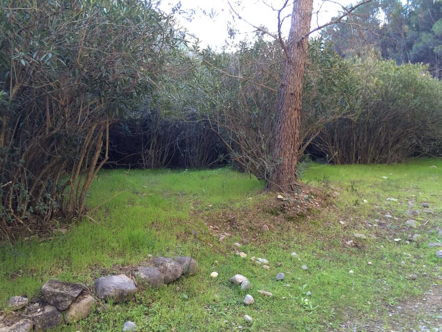 This is a photography of a Site of Community Importance in Spain with the ID: