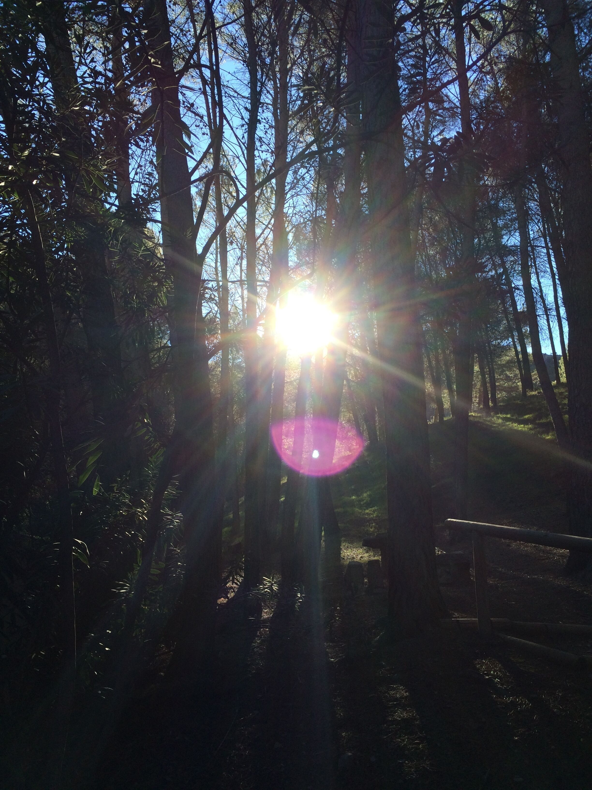 This is a photography of a Site of Community Importance in Spain with the ID: