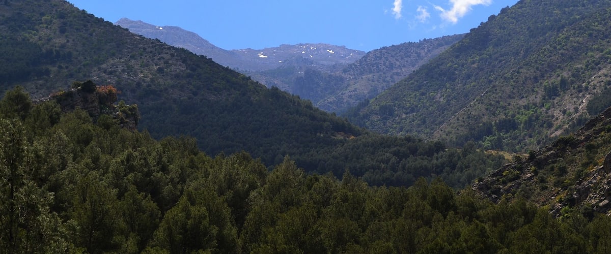 This is a photography of a Site of Community Importance in Spain with the ID: