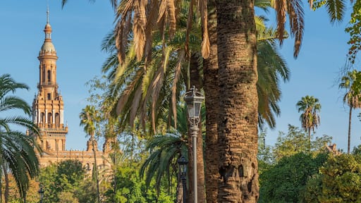 Parque de Maria Luisa is a famous public park in Sevilla, along the Guadalquivir River, Andalusia. panorama