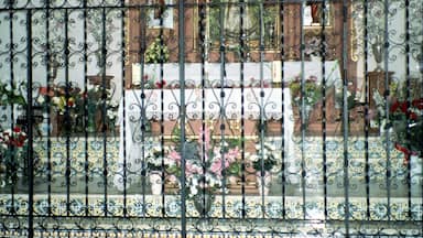 El Almendro, heritage Nuestra Señora de Piedras Albas, the altar