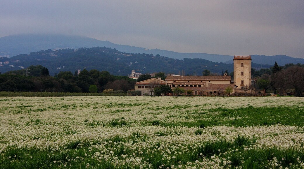 Can Draper (l'Ametlla del Vallès)