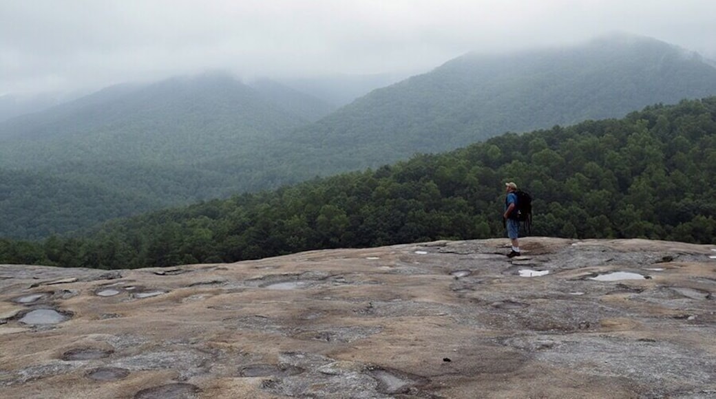 The view from the summit of Wolf Rock. The Blue Ridge Escarpment, Stone Mountain State Park, NC
I felt like I was walking on the moon,craters and all.
#TakeAHike