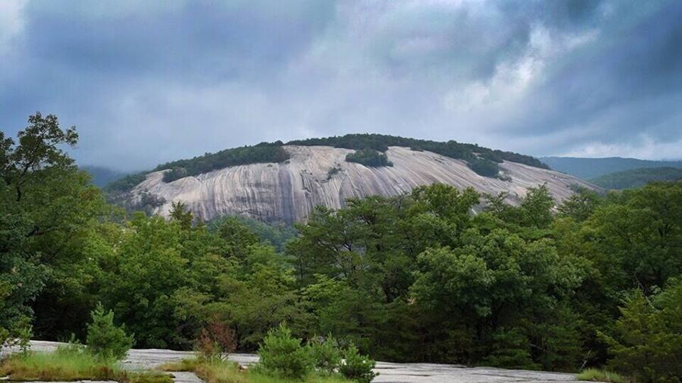 A large rock formation surrounded by dense forest.