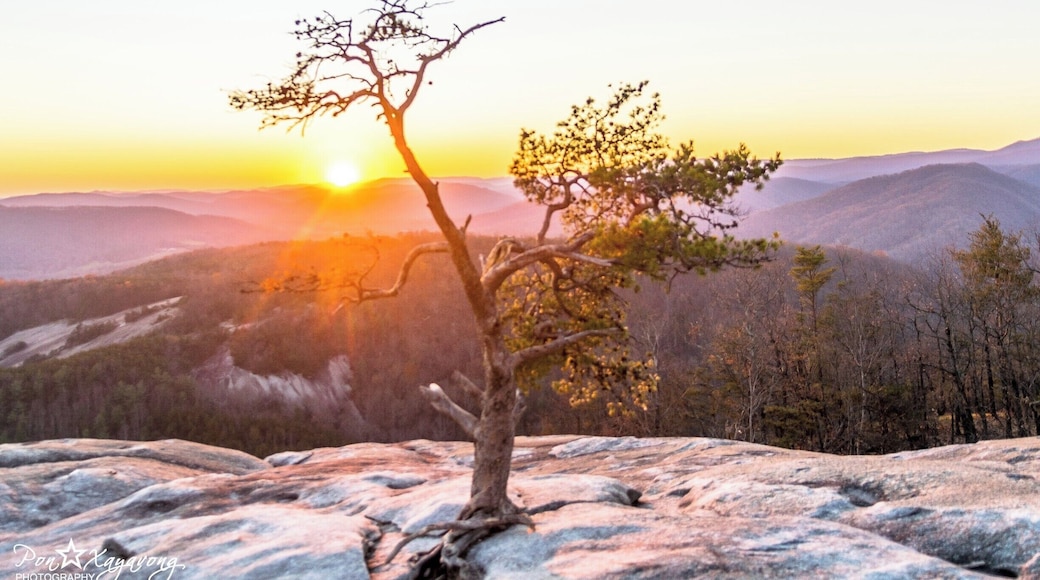 We went to Upper lot parking area and hike our way up the mountain. got some beautiful rocky view. Great park for hike , bike , climb, fish and camp