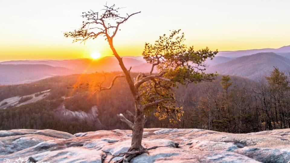 A lone tree on a rocky outcrop with a sunset in the background.