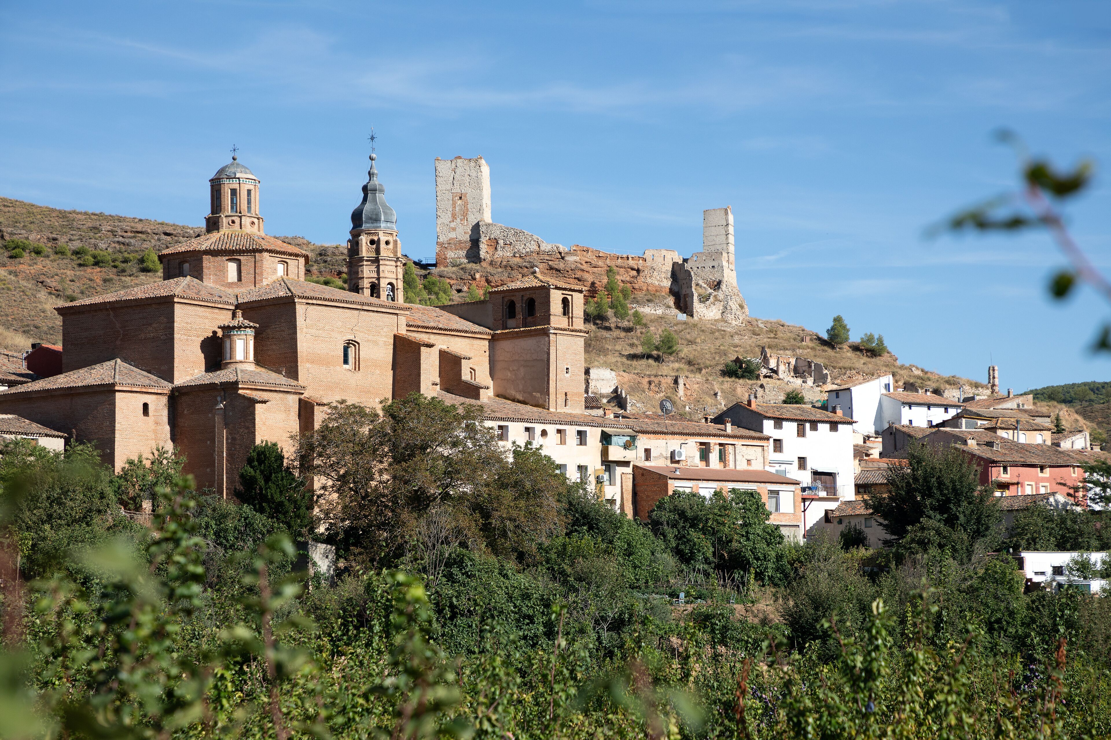 A historic town with a prominent church, a castle, and surrounding greenery.