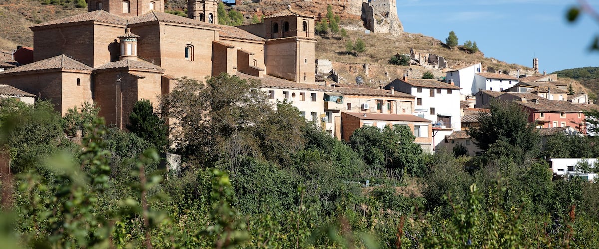 A historic town with a prominent church, a castle, and surrounding greenery.
