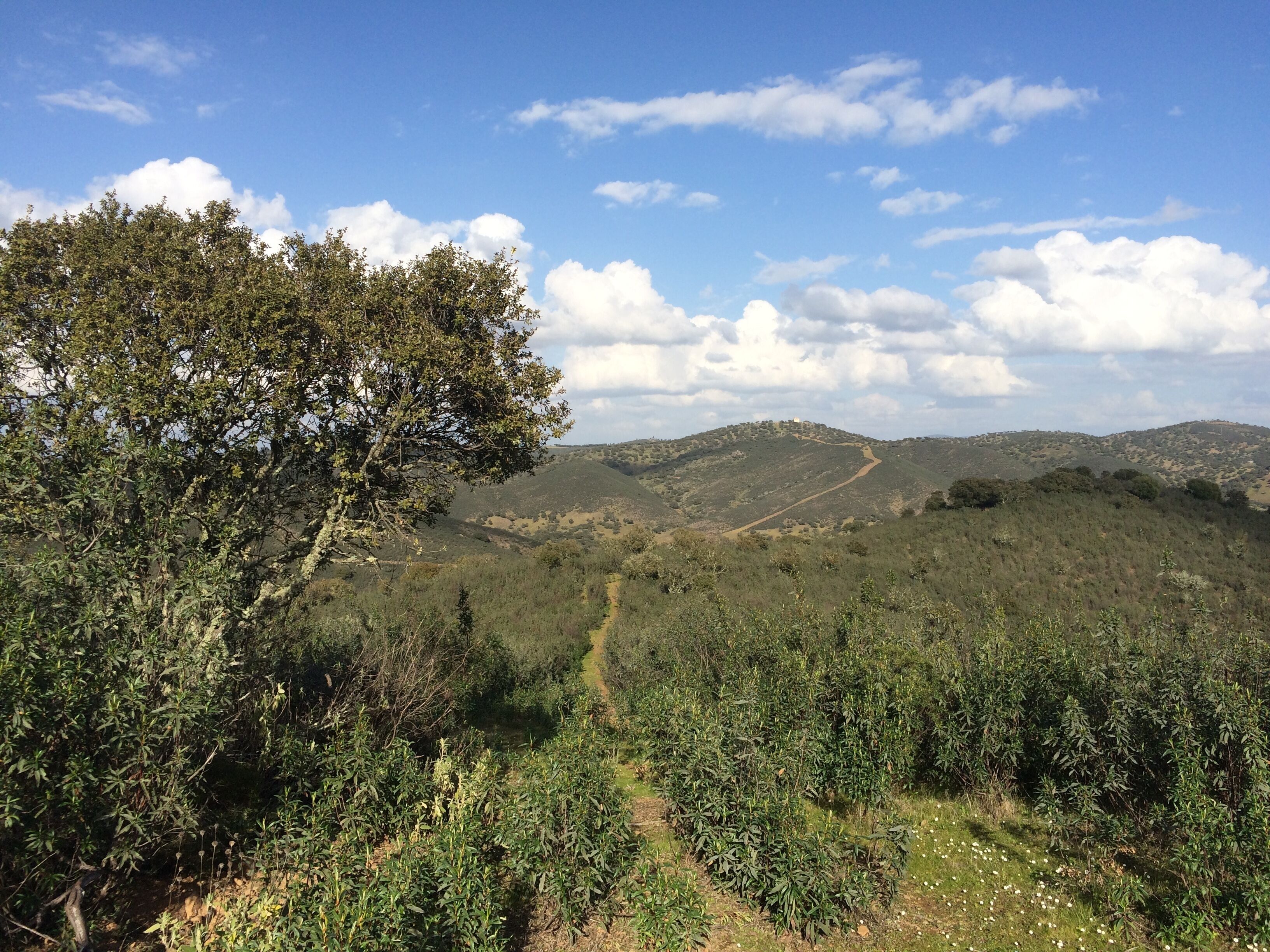 Vereda Arroyo Santa Maria